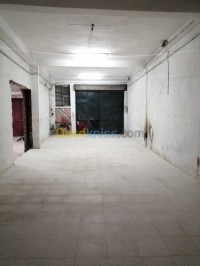 الجزائر-الكاليتوس-محل-kra-mhl-aljzaer-alkalytos