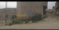 أرض-بيع-تلمسان-الجزائر