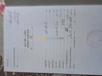 أم-البواقي-الجزائر-أرض-فلاحية-byaa-ard-flahy-am-alboaky
