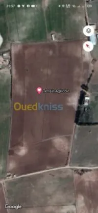 Location Terrain Tébessa El ma el biodh