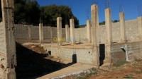 tlemcen-algeria-carcass-sell