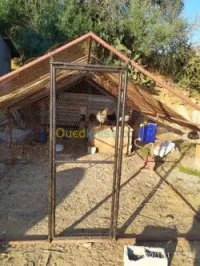 Enclos démontable poule