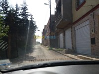 مستغانم-الجزائر-أرض-byaa-ard-mstghanm