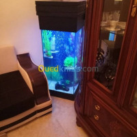 accessoire-pour-animaux-entretien-des-aquariums-draria-alger-algerie