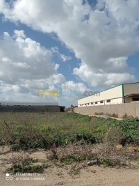 أرض-بيع-بومرداس-أولاد-موسى-الجزائر