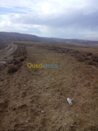برج-بوعريريج-القصور-الجزائر-أرض-فلاحية-byaa-ard-flahy-brj-boaaryryj-alksor