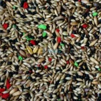 9 Kg mèlange canari en vrac