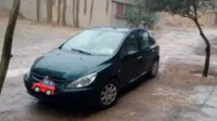 Peugeot 307 2001 XT