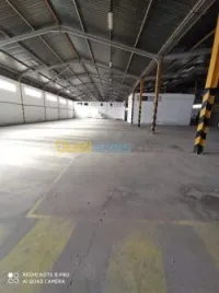 Location Hangar Oran Oran