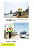 bejaia-algerie-publicite-communication-location-et-affichage-d-espace-publici