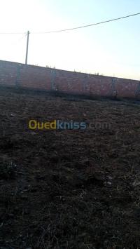 المدية-بئر-بن-عابد-الجزائر-هيكل-byaa-hykl-almdy-ber-bn-aaabd