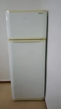 Refrigirateurs marque Frigor 455L