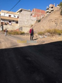 الشلف-تنس-الجزائر-أرض-byaa-ard-alshlf-tns