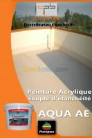 alger-mohammadia-algerie-construction-travaux-peinture-etancheité