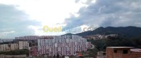 سكيكدة-الجزائر-محل-kra-mhl-skykd