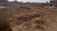 Vente Terrain Tlemcen Maghnia