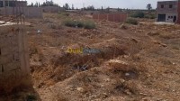 تلمسان-مغنية-الجزائر-أرض-byaa-ard-tlmsan-mghny