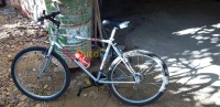 relizane-sidi-mhamed-ben-ali-algerie-articles-de-sport-bicyclette
