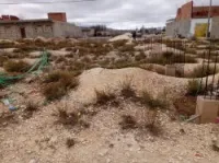 Vente Terrain Tebessa Hammamet