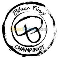 برج-بوعريريج-المهير-الجزائر-زراعي-culture-des-champignons