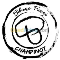 Culture des champignons
