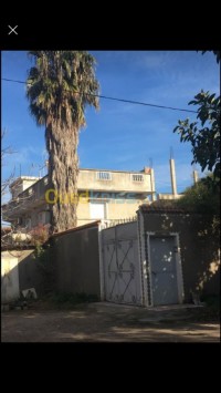 فيلا-بيع-البليدة-شبلي-الجزائر
