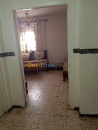 وهران-بئر-الجير-الجزائر-شقة-byaa-shk-2-ghrf-ohran-ber-aljyr