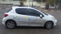 تيارت-الجزائر-سيارة-صغيرة-peugeot-207-2011
