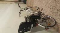 velo almania neuf
