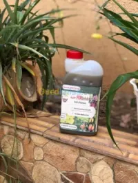 FerSolub  anti chlorose Fer  حديد