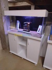 alger-bordj-el-kiffan-algerie-décoration-aménagement-aquarium