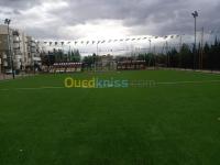 algiers-alger-centre-algeria-industry-production-صناعة-اعشاب-الملاعب