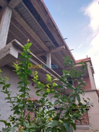 البليدة-الجزائر-هيكل-byaa-hykl-alblyd