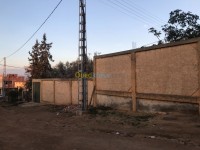 الشلف-الجزائر-أرض-byaa-ard-alshlf