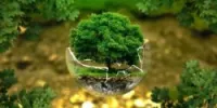 études environnementales t conseils