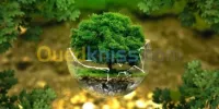 études environnementales t conseils