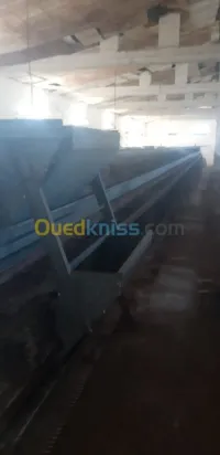 Batterie poule pondeuse 4800