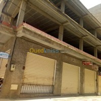 الجزائر-الكاليتوس-هيكل-byaa-hykl-aljzaer-alkalytos