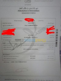 ain-defla-el-hassania-algeria-graphics-communication-معلوماتية