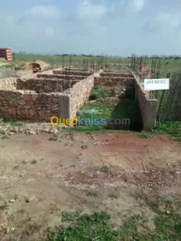 Vente Terrain Oran Bethioua
