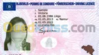 Permis de conduire étranger