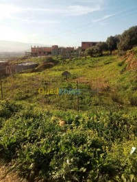 بومرداس-بودواو-الجزائر-أرض-byaa-ard-bomrdas-bodoao