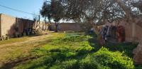 مستغانم-الجزائر-أرض-byaa-ard-mstghanm