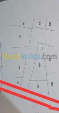 تلمسان-الجزائر-أرض-byaa-ard-tlmsan