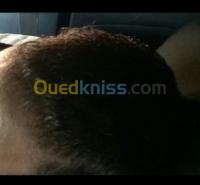 تلمسان-الجزائر-مواد-شبه-طبية-منتوج-طبيعي-مستورد-من-المغرب-لتقويةالش