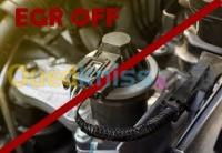 algiers-bir-mourad-rais-cheraga-algeria-auto-repair-diagnostic-suppression-egr-fap-adbleu
