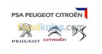 alger-cheraga-algerie-réparation-auto-diagnostic-kilometrage-peugeot-citroen-ds