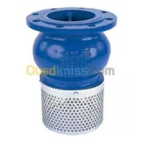 CLAPET CREPINE EN FONTE A BRIDE