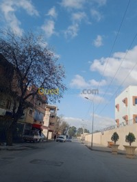 الجزائر-بئر-توتة-أرض-byaa-ard-aljzaer-ber-tot