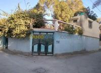 بسكرة-الجزائر-فيلا-byaa-fyla-bskr
